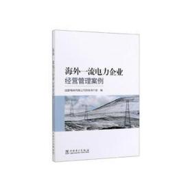 电力企业经营管理案例 社会科学总论、学术 电网有限公司财务资产