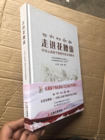 走进花腰傣：中国云南新平傣族传统文化解读【全新】