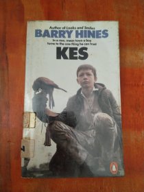 BARRY HINES KES