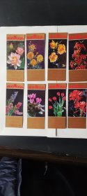 1985年第一届教师节书签八张一套全