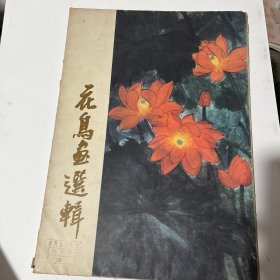 花鸟画选辑 十二张