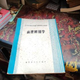 晋升医师及其相当职称复习资料 病理解剖学