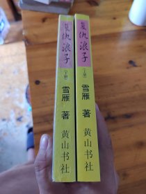 复仇浪子（两本合售）