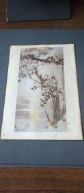 晨月:杨主一 画16开
