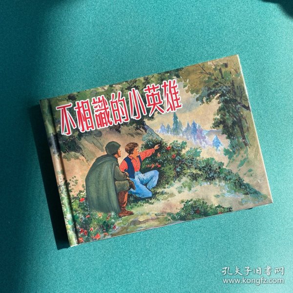 不相识的小英雄