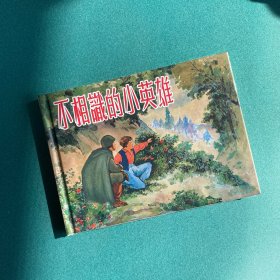 不相识的小英雄（上美 32开 大精装 连环画）