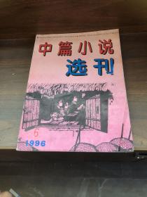 中篇小说选刊 1996 6