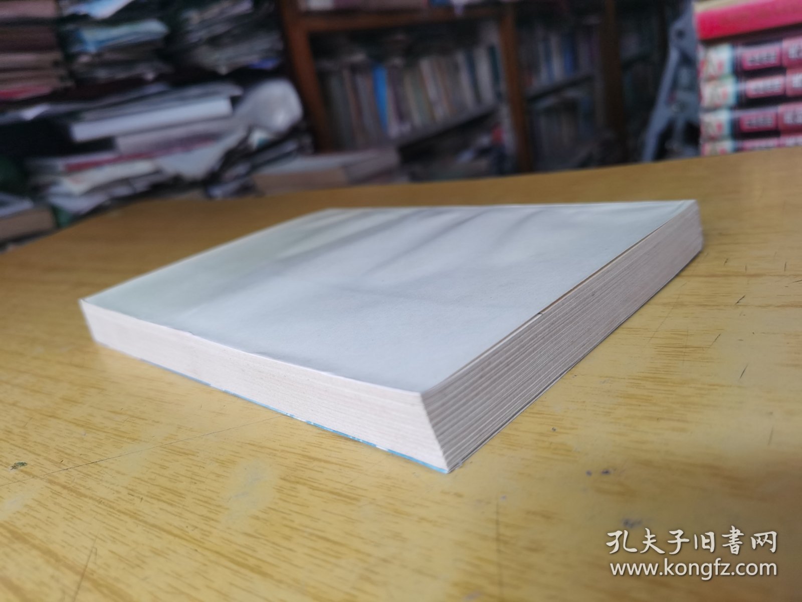 四川妇女运动历史资料 平装32开，此书无版权页。