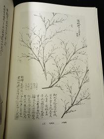 郑板桥画兰画竹 一版二印