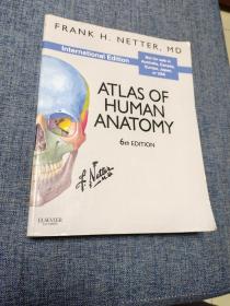 Atlas of Human Anatomy, International Edition人体解剖学图谱，国际版，第六版