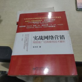 实战网络营销：网络推广经典案例战术解析