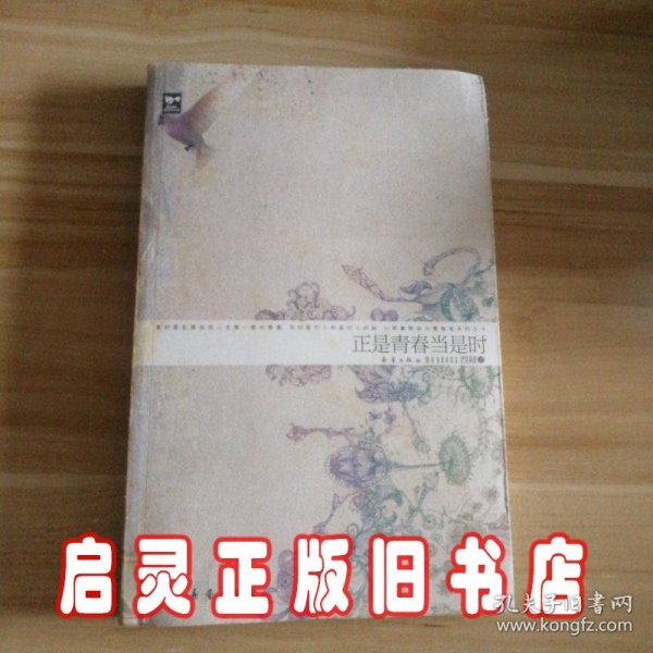 正是青春当是时(乱斗青春掌门人)