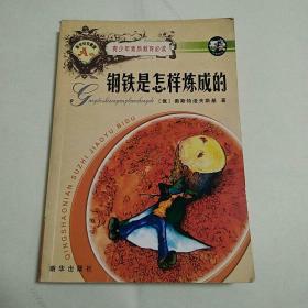 钢铁是怎样炼成的