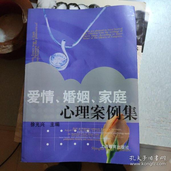 心理咨询师培训系列教材：爱情婚姻家庭心理案例集