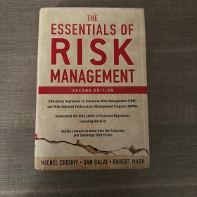 The essentials of risk management