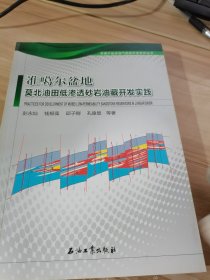 准噶尔盆地莫北油田低渗透砂岩油藏开发实践