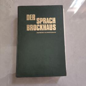 DER SPRACH BROCKHAUS布罗克豪斯德语图解词典 德文