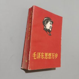 毛泽东思想万岁