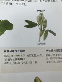 花艺设计花材使用手册