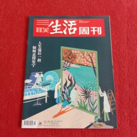 三联生活周刊 2023年 7月3日第27期总第1245期 人生最后一程/如何走的安宁 杂志