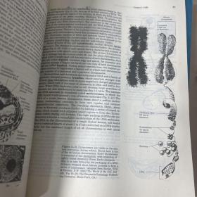 principles of biochemistry（1,2册）2本合售  生物化学原理