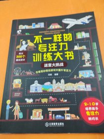 不一样的专注力训练大书 迷宫大挑战