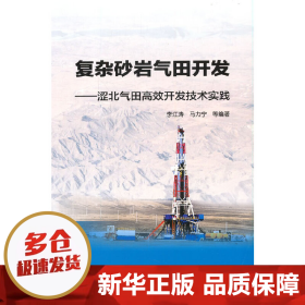 复杂砂岩气田开发——涩北气田高效开发技术实践
