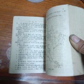 常用民间草药治疗手册