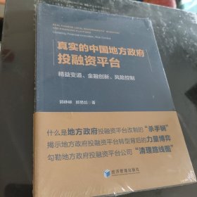 真实的中国地方政府投融资平台（未开封）