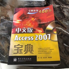 宝典丛书：中文版Access 2007宝典