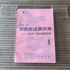 历史在这里沉思 1966-1976