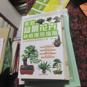 家庭盆景花卉种植摆放指南