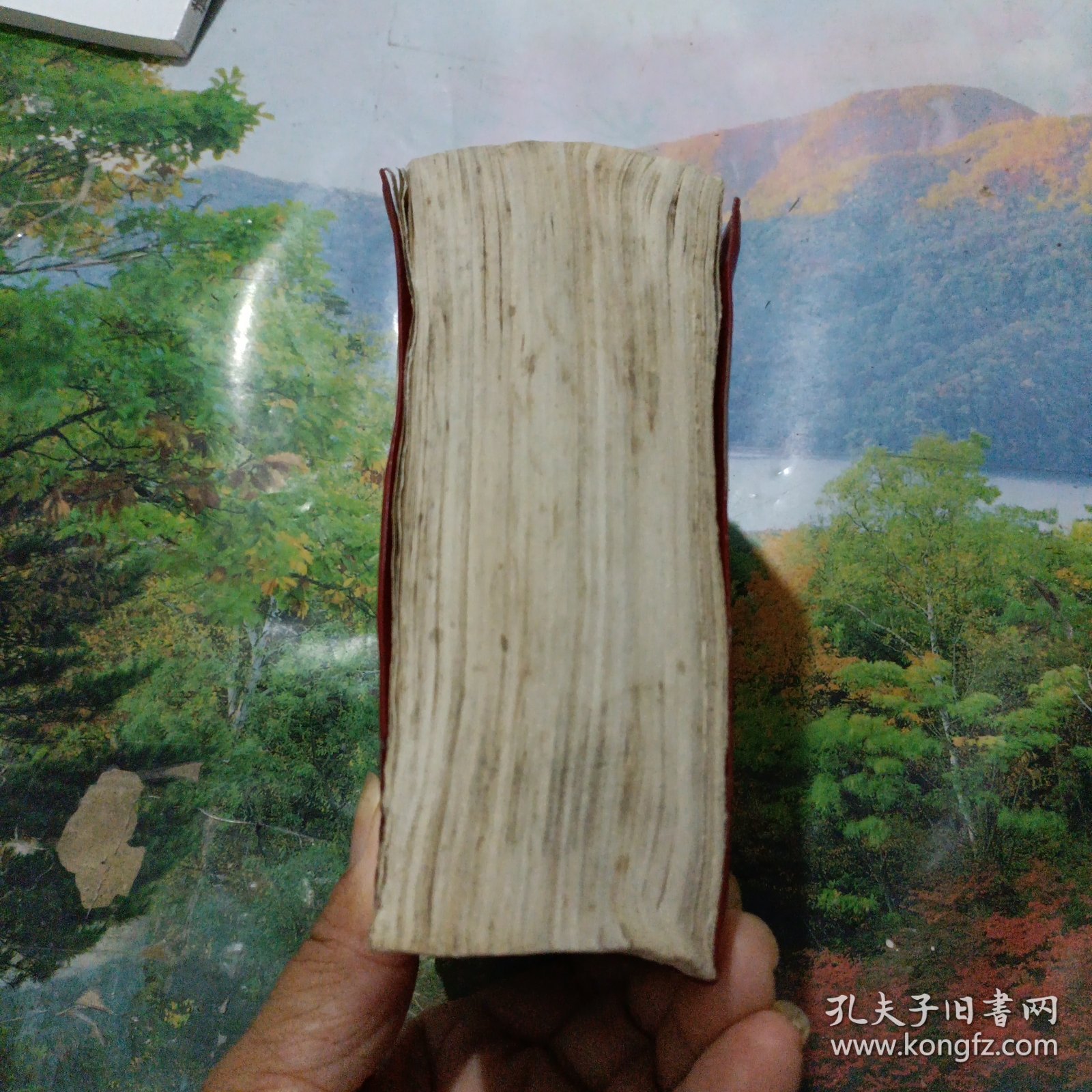 毛泽东选集（一卷本）