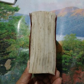 毛泽东选集（一卷本）
