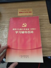 党的十九届六中全会《决议》学习辅导百问