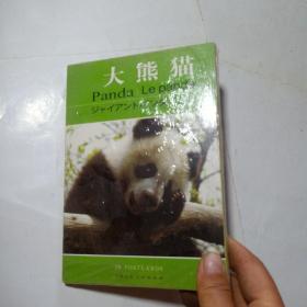 正版实拍：大熊猫（明信片）19张