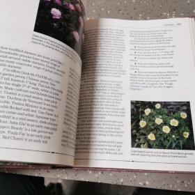 英文原版RODALE'S ILLUSTRATED ENCYCLOPEDIA OF PERENNIALS罗代尔的多年生植物插图百科全书