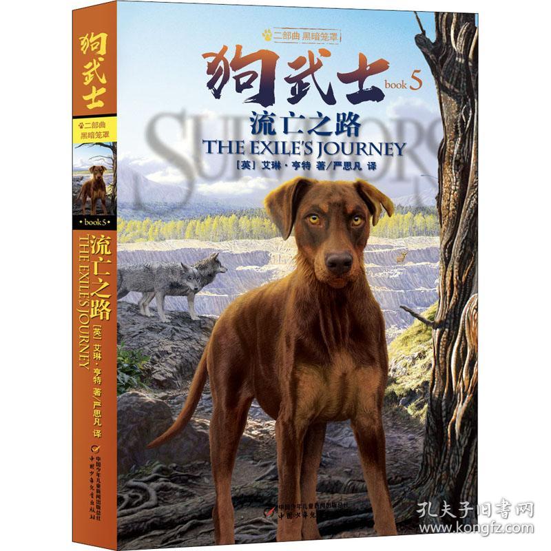 新华正版 流亡之路 (英)艾琳·亨特 9787514865707 中国少年儿童出版社