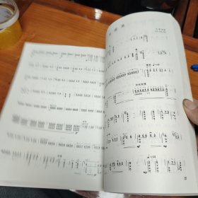 王惠然柳琴作品集