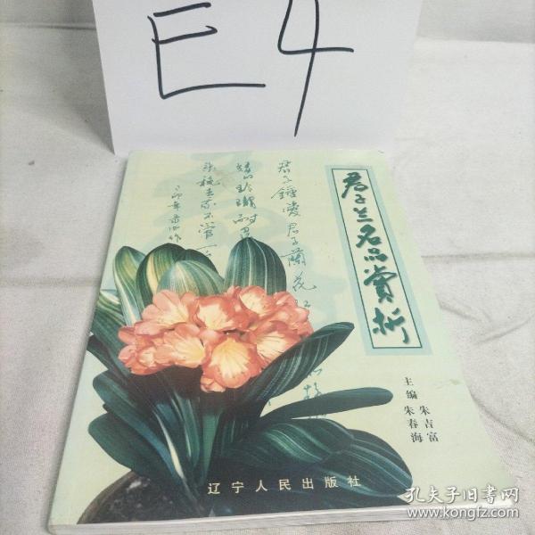 君子兰名品赏析