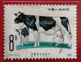 中国邮票 t63 1981年 发行量178万 畜牧业 中国黑白花奶牛 6-4 信销