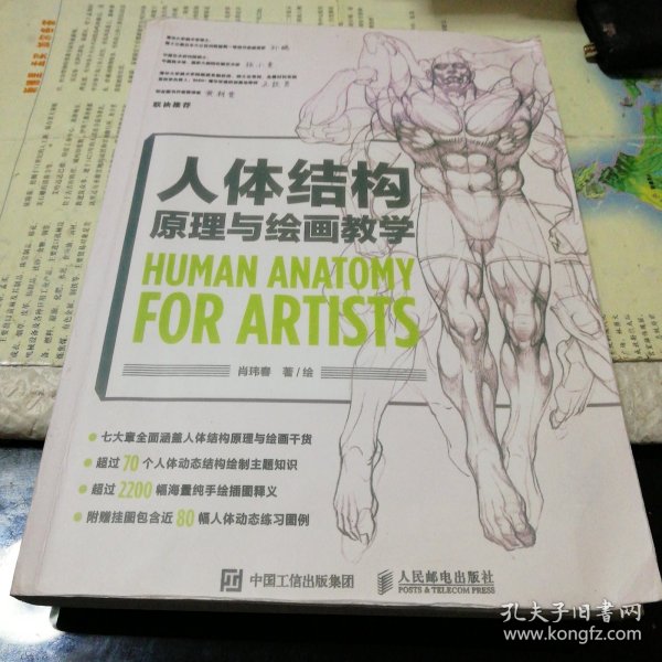 人体结构原理与绘画教学