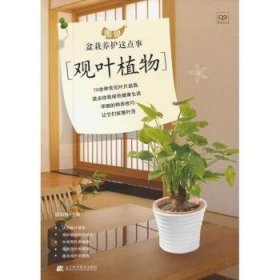 图说盆栽养护这点事:观叶植物