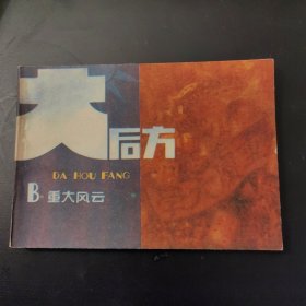 大后方（B：重大风云）连环画