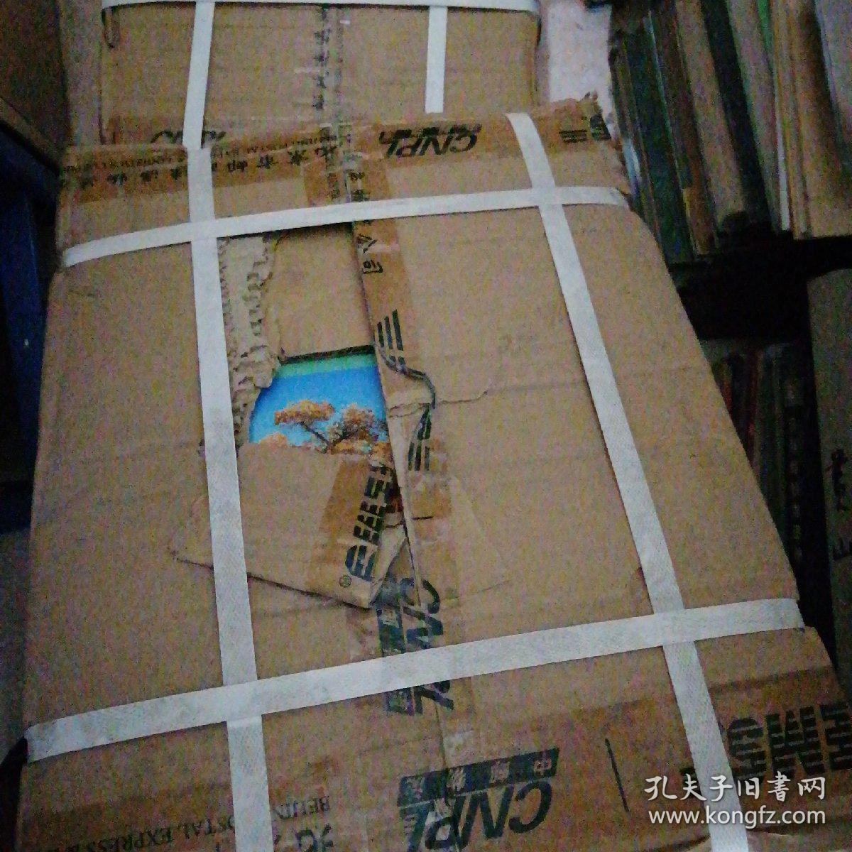 《第一次全国污染源普查资料文集》全12册整箱，书全新》系列丛书【4---5层】