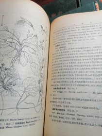 中国植物志 10本合拍