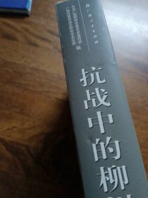 抗战中的柳州（全四册）