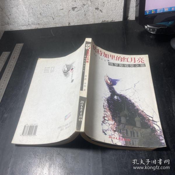 伏特加里的红月亮：俄罗斯视觉之旅