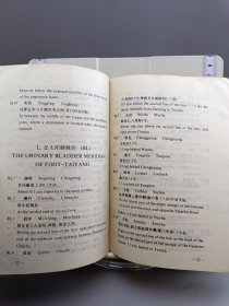 国标针灸经穴奇穴人体模型