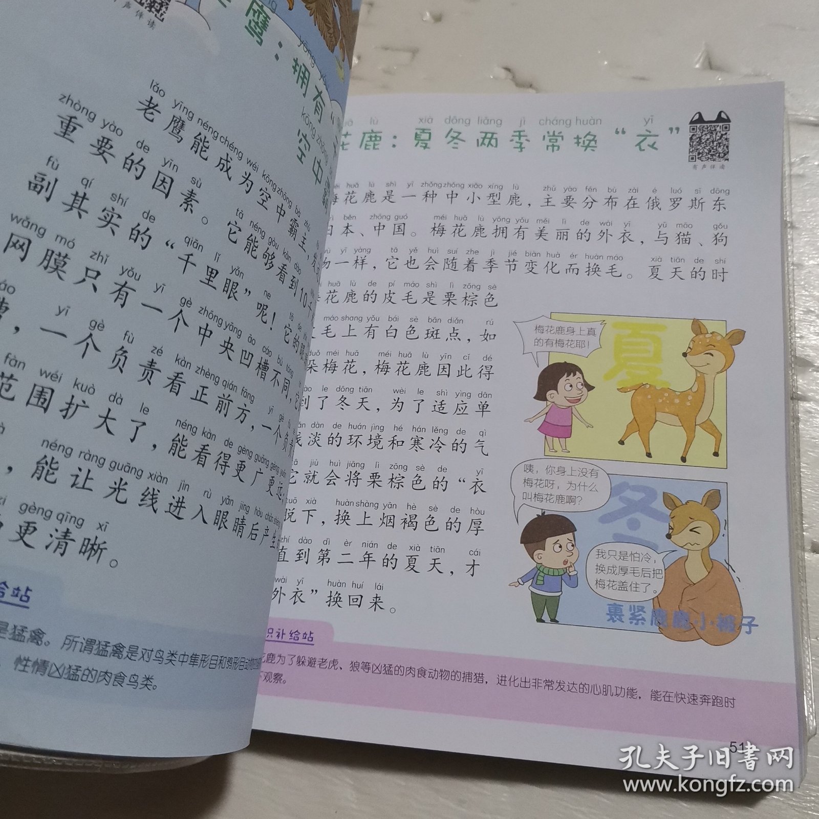 小眼睛阅世界(有声版)/笨笨狼童书坊